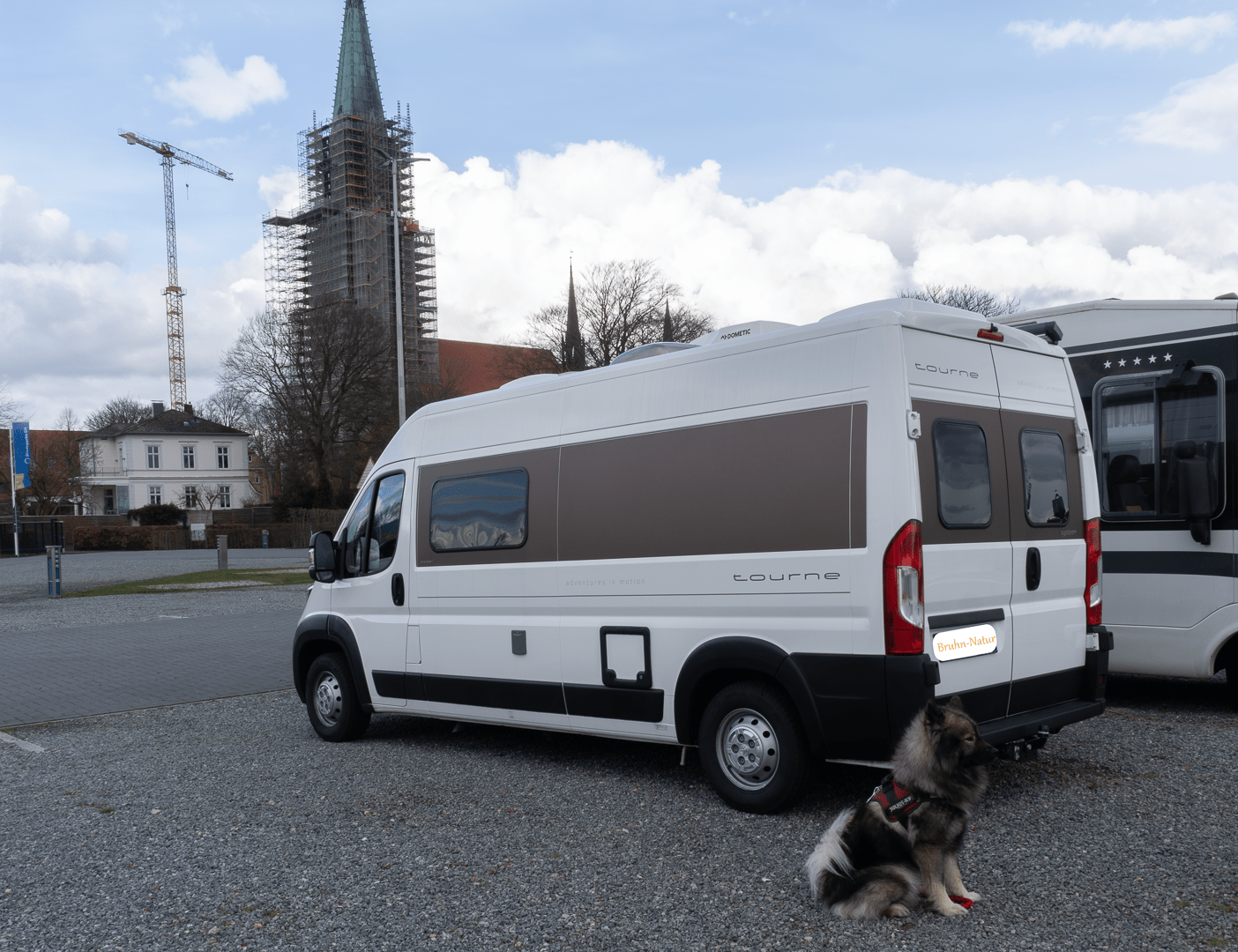 Q und der Tourne von hinten